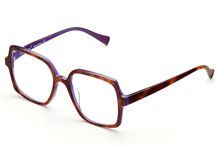 804 Shaldag Eyewear